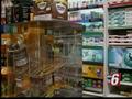 News video: Cigarette Tax To Pay For Vikings Stadium?